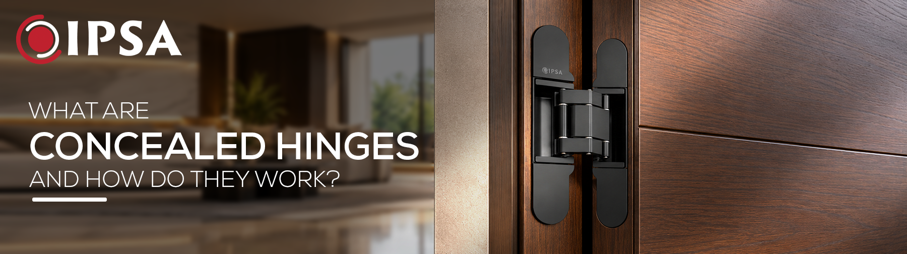 What Are Concealed Hinges and How Do They Work?