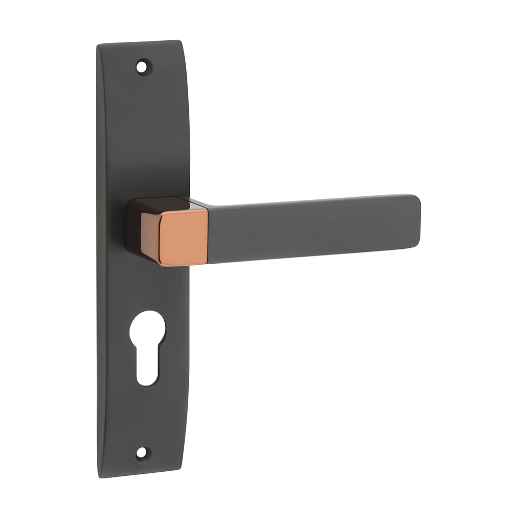 IPSA Ink Iris Handle Series on 8" Plate CYS Lockset with 60mm One Side Key and Knob - Matte Antique Finish BRG