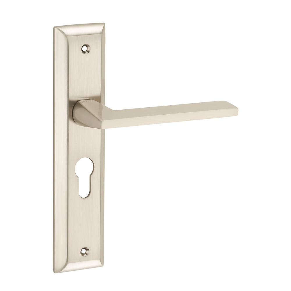 IPSA Mynza Iris Handle Series on 10" Plate CY Door handle without Lock body & Cylinder Finish - FSS