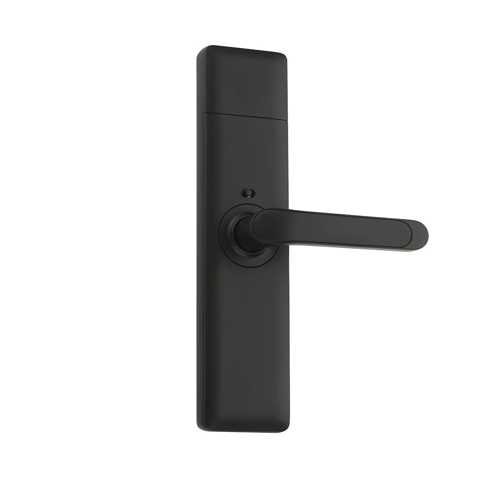 IPSA Series 40 Pro Max Digital Smart Door Lock Finish - Black