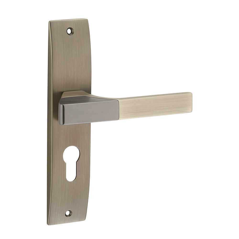 IPSA Ash Iris Handle Series on 8" Plate CYS Lockset with 60mm One Side Key and Knob - Matte Finish MAB