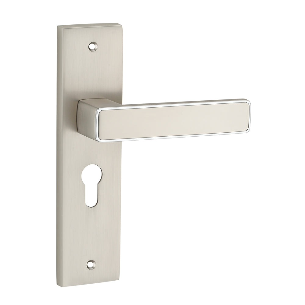 IPSA Clay Iris Handle Series on 8" Plate CYS Lockset with 60mm Both Side Key - Matte Satin Nickel Finish CPS