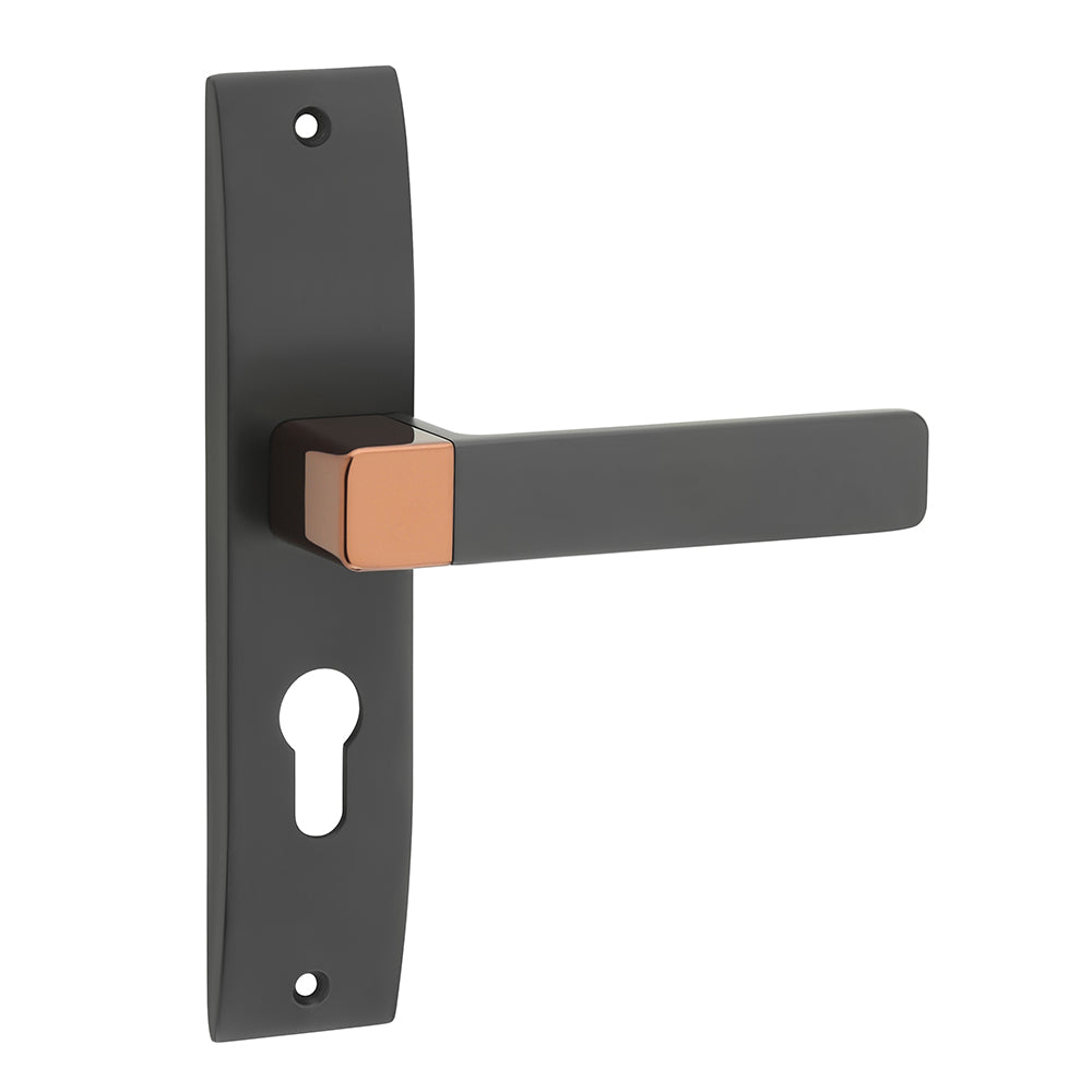 IPSA Ink Iris Handle Series on 10" CY Lockset with 60mm Both Side Key and Knob - Finish BRG