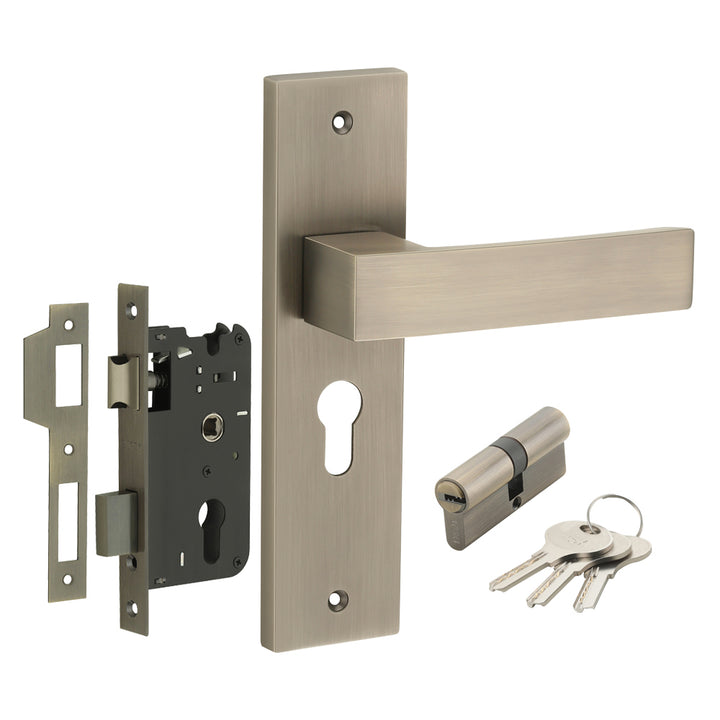 IPSA Sky Iris Handle Series Door Handle on 8" Plate CYS Lockset with 60mm Both Side Key Cylinder Finish - MAB