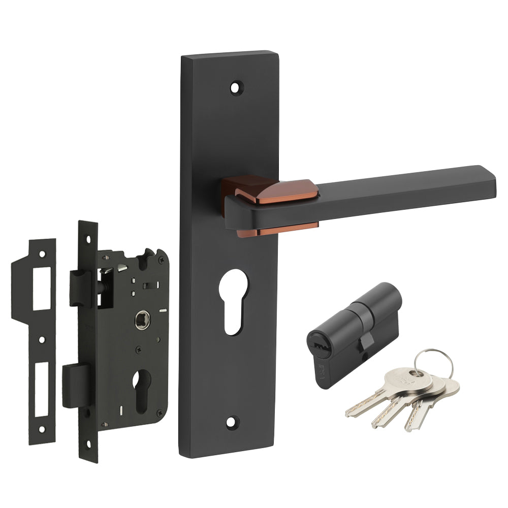 IPSA Pear Iris Handle Series on 8" Plate CYS Lockset with 60mm Both Side Key Cylinder- BRG Finish