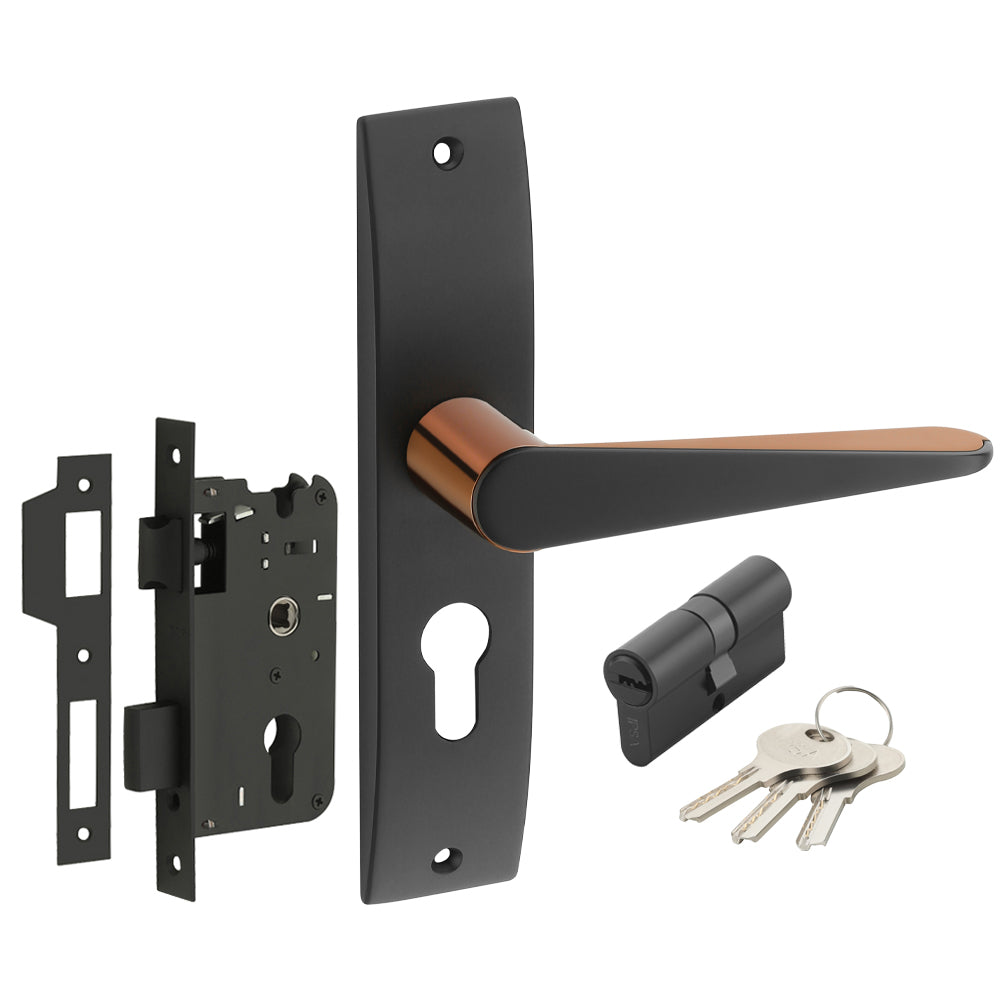 IPSA Oat Iris Handle Series on 8" Plate CYS Lockset with 60mm Both Side Key - Finish BRG