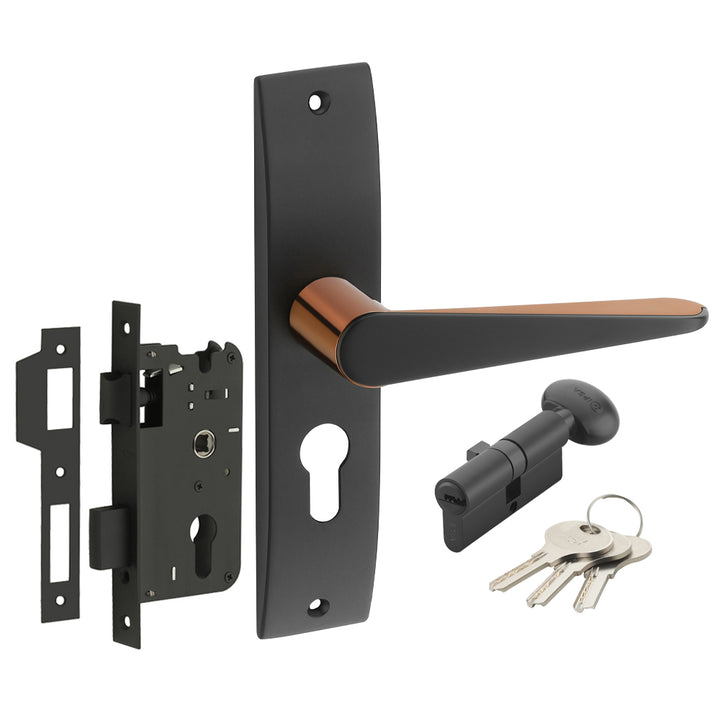 IPSA Oat Iris Handle Series on 8" Plate CYS Lockset with 60mm One Side Key and Knob - Matte Antique Finish BRG