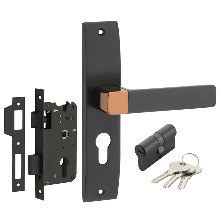 IPSA Ink Iris Handle Series on 8" Plate CYS Lockset with 60mm Both Side Key - Matte Finish BRG