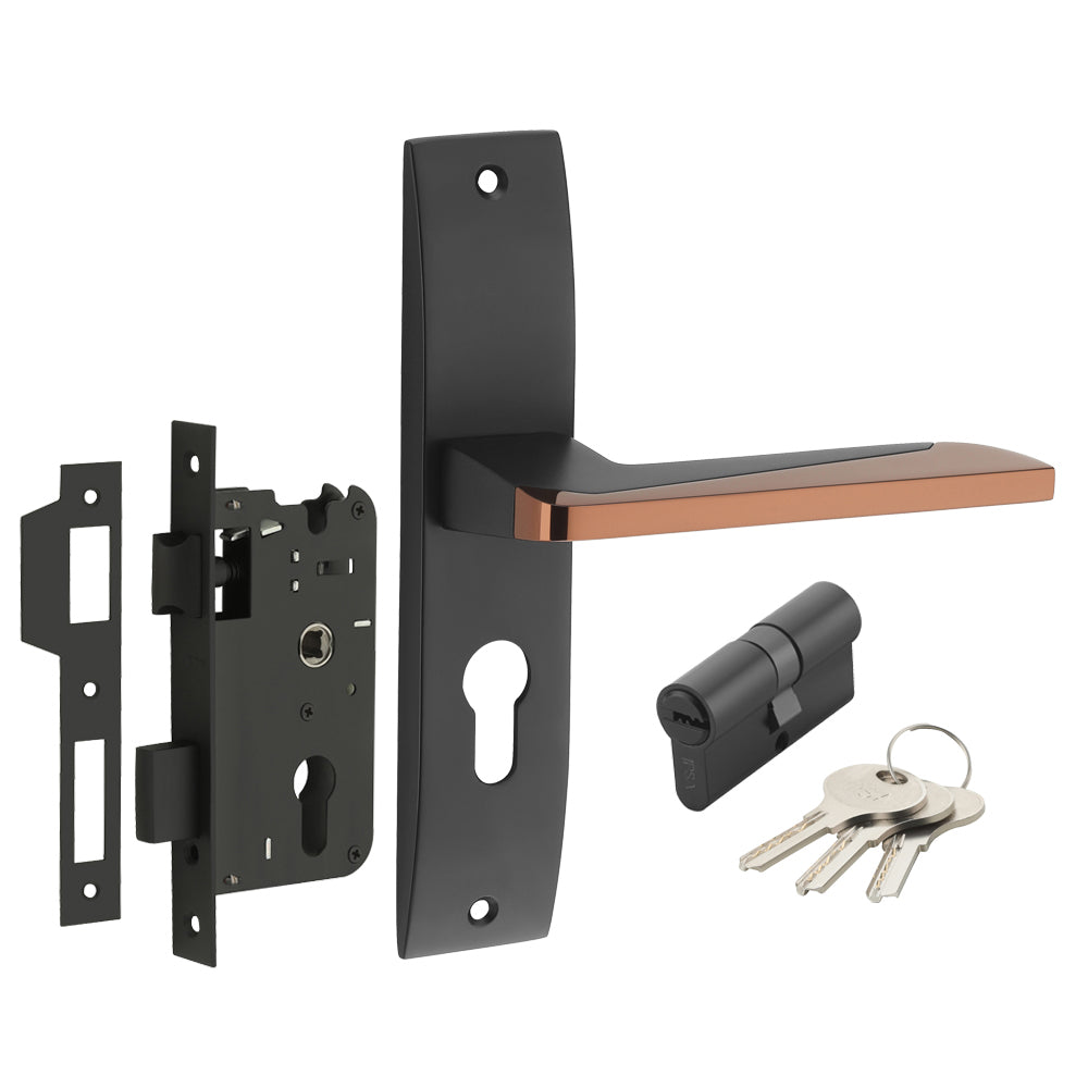 IPSA Lilac Iris Handle Series on 8" Plate CYS Lockset with 60mm Both Side Key - Matte Finish BRG