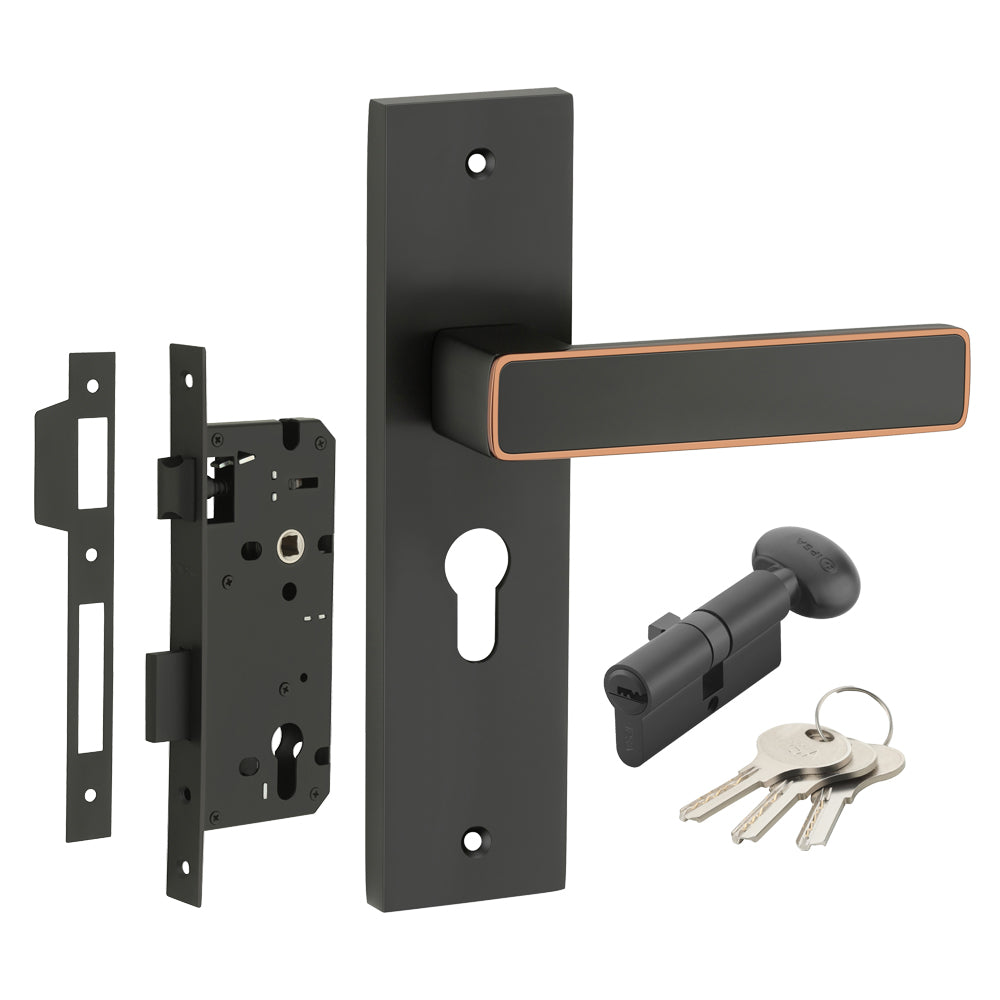 IPSA Clay Iris Handle Series on 10" Plate CY Lockset with 60mm One Side Key and Knob - Matte Antique Finish BRG