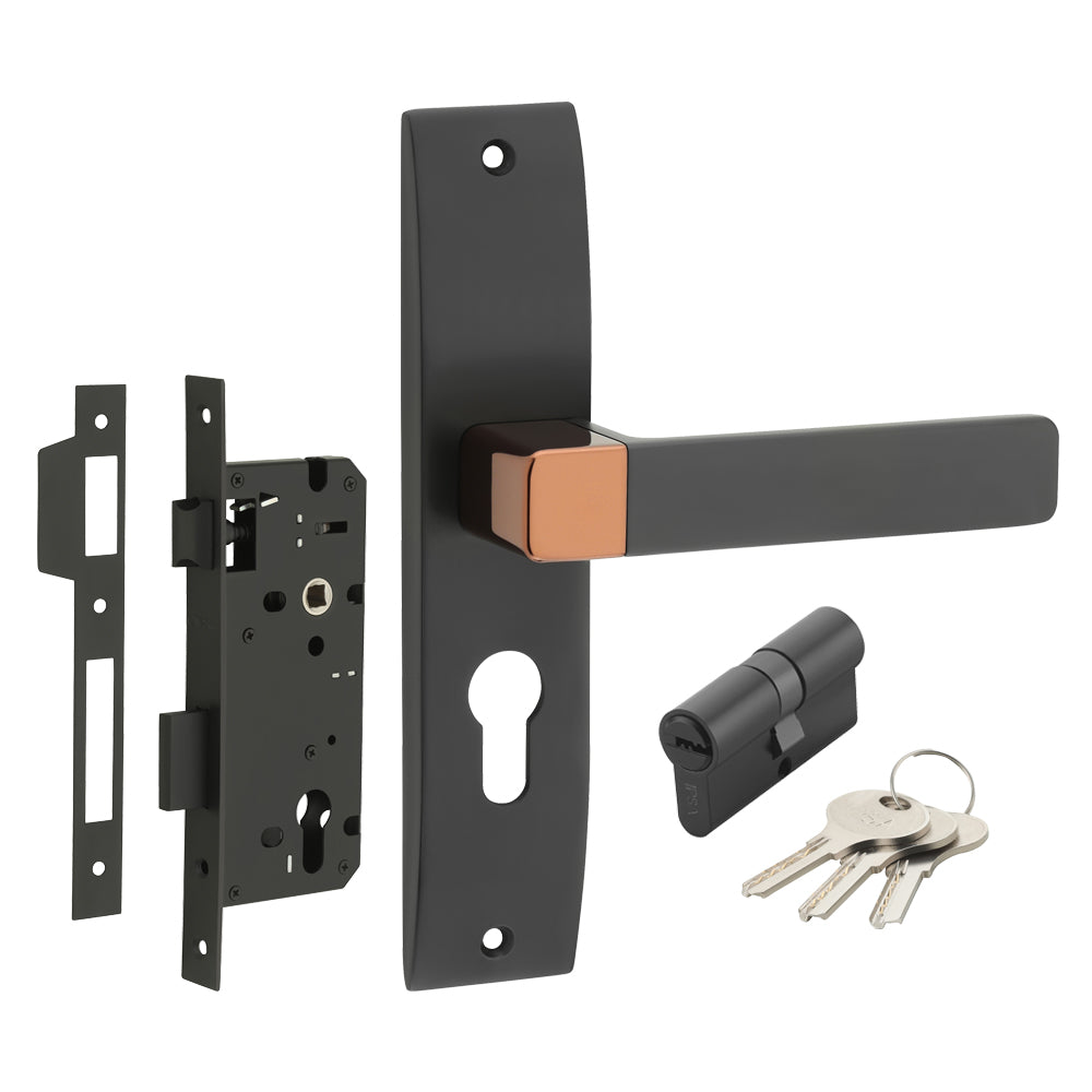 IPSA Ink Iris Handle Series on 10" CY Lockset with 60mm Both Side Key and Knob - Finish BRG