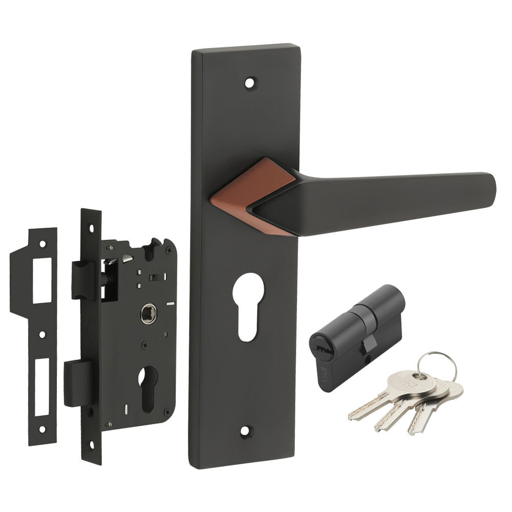 IPSA Peru Iris Handle Series on 8" Plate CYS Lockset with 60mm Both Side Key - Matte Finish BRG
