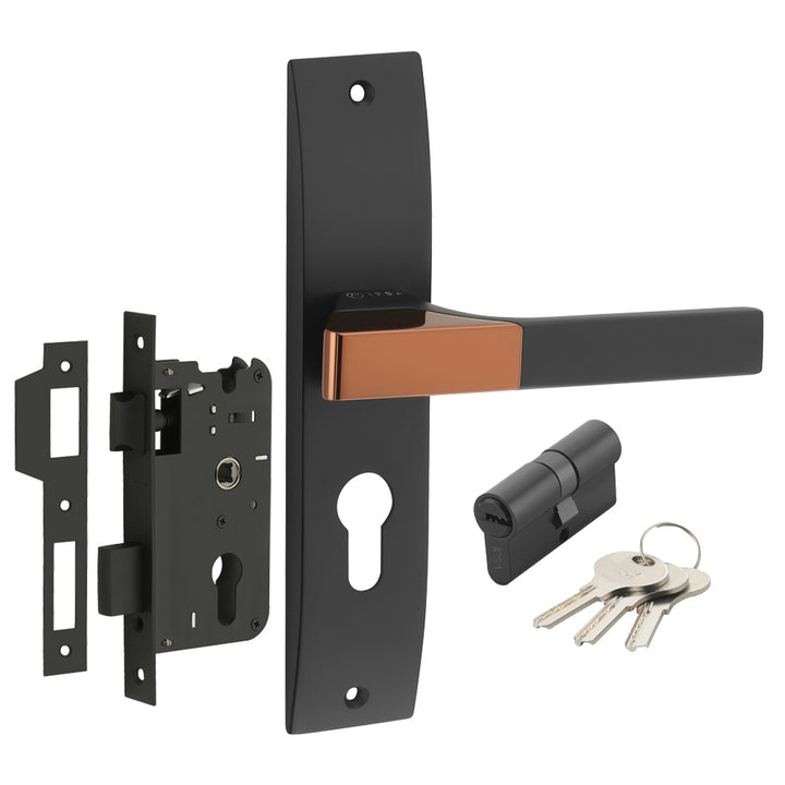 IPSA Ash Iris Handle Series on 8" Plate CYS Lockset with 60mm Both Side Key - Matte Finish BRG