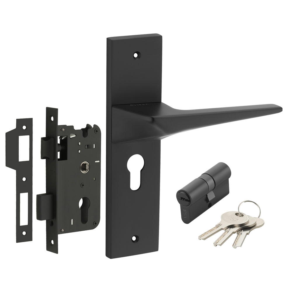 IPSA Smoke Moderna Handle Series on 8" Plate CYS Lockset with 60mm Both Side Key - Matte Finish BLACK