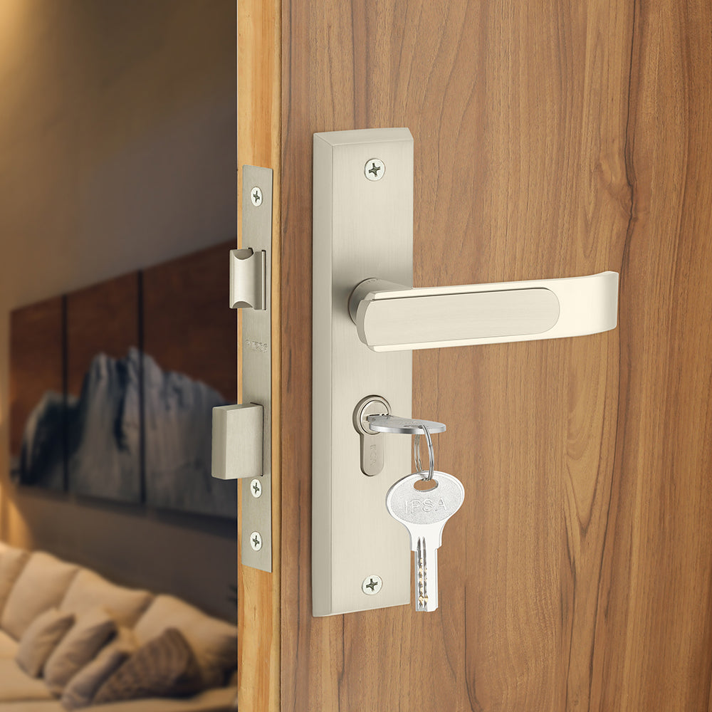 IPSA Grey Iris Handle Series Door Handle on 8 Inch CYS Lockset with 60mm One Side Key & Knob Cylinder Finish - CPS