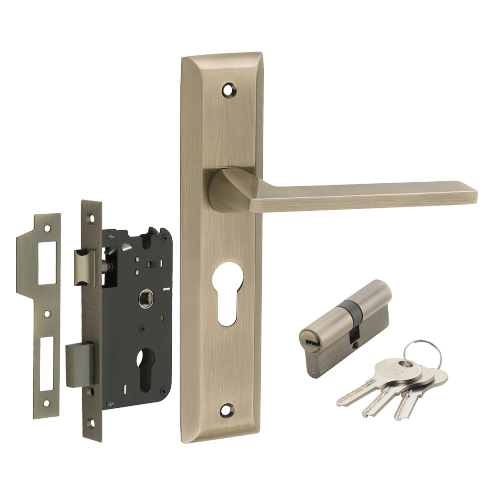 IPSA Mynza Iris Handle Series Door Handle on 8" Plate CYS Lockset with 60mm Both Side Key Cylinder Finish - MAB