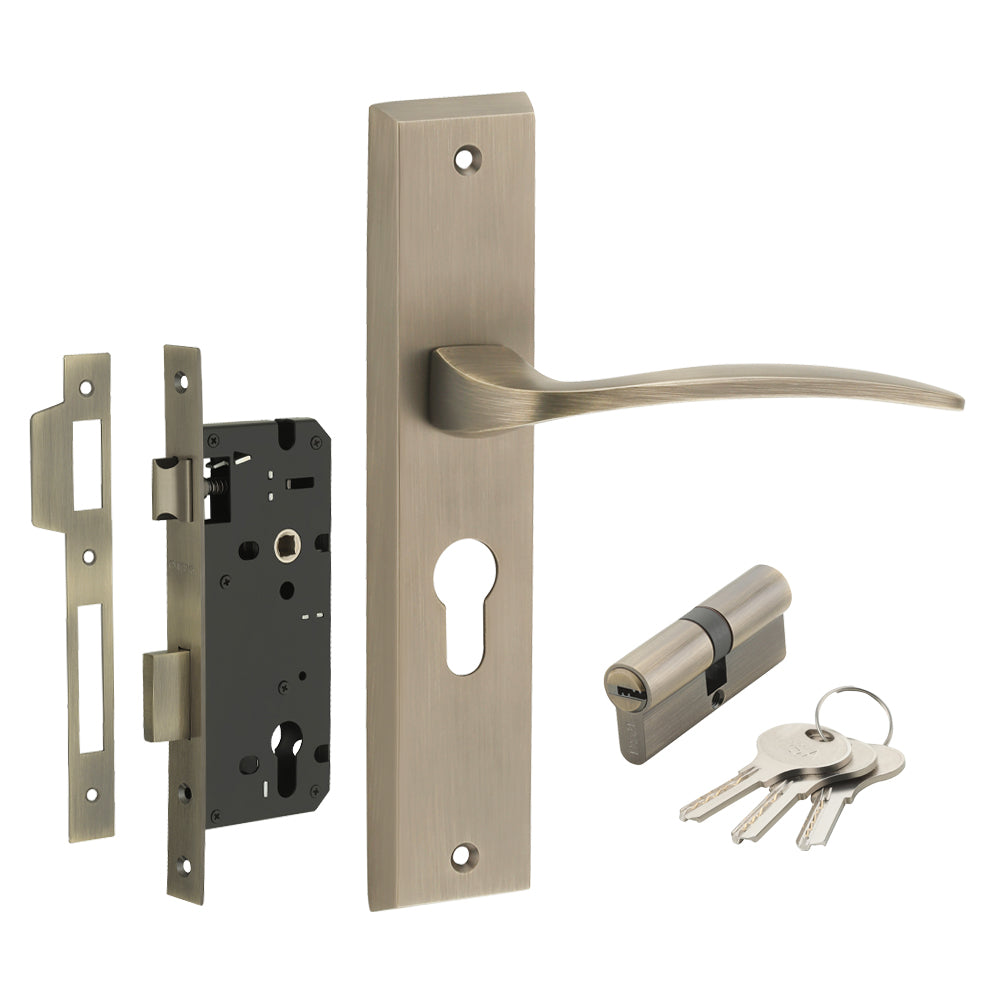 IPSA Azure Iris Handle Series Door Handle 10" Plate With Both Side Key Cylinder Finish MAB