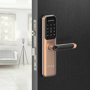 IPSA Series 35 Smart Door Lock BRG