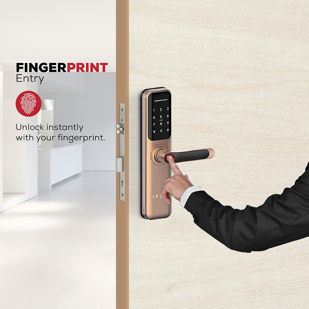 IPSA Series 35 Smart Door Lock BRG